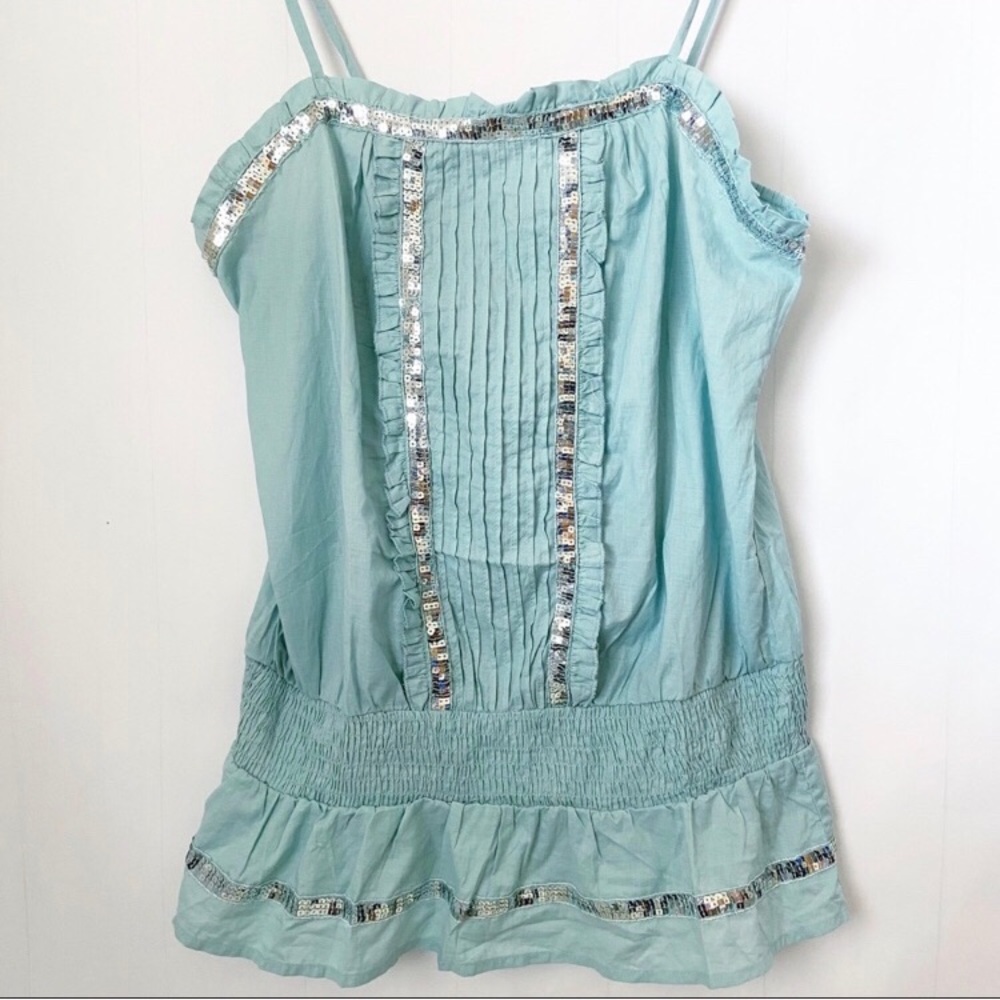 🎉 $15 Blue Sequined Cinche Top